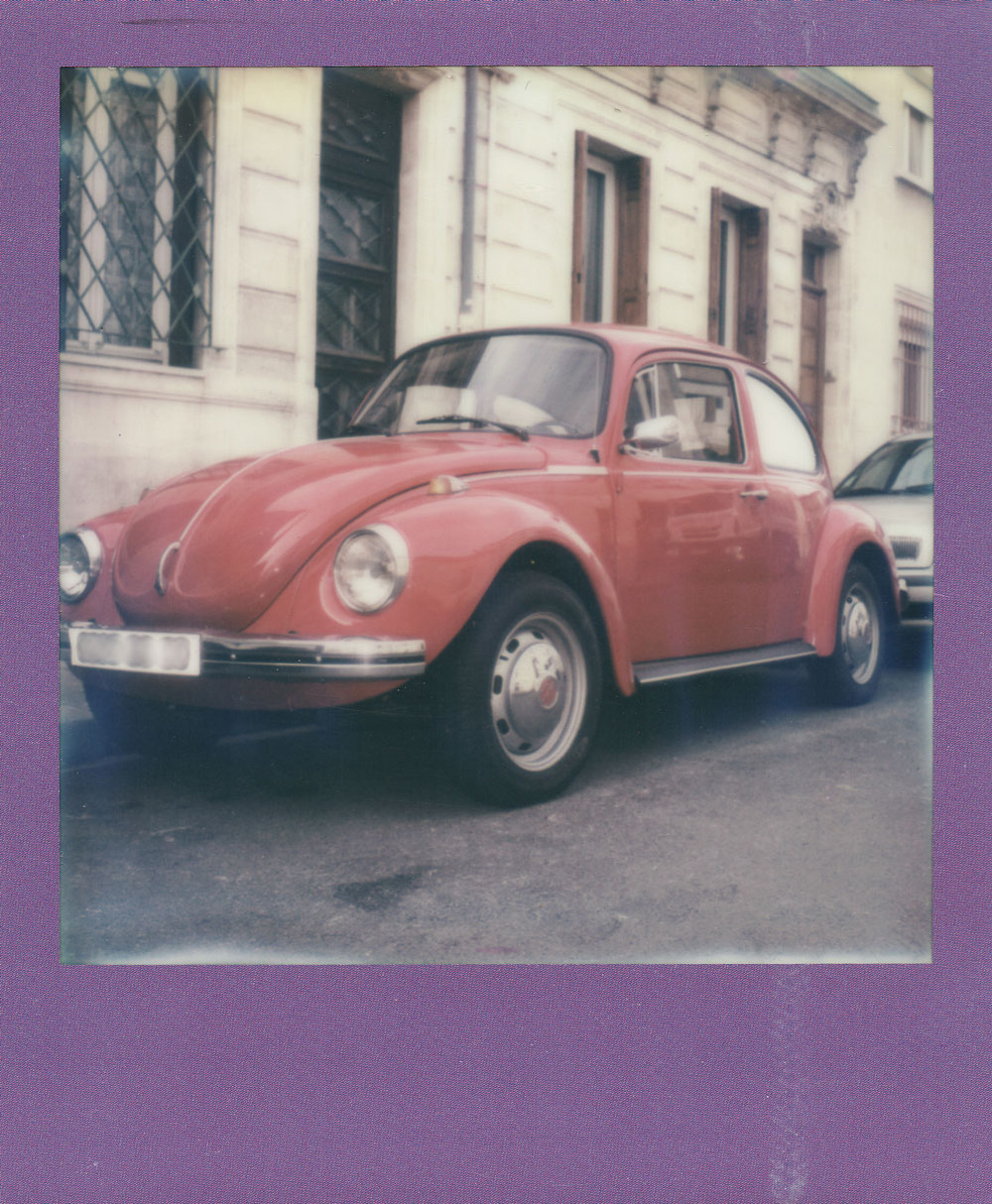 001.-Raspbeetle---Polaroid-SLR680