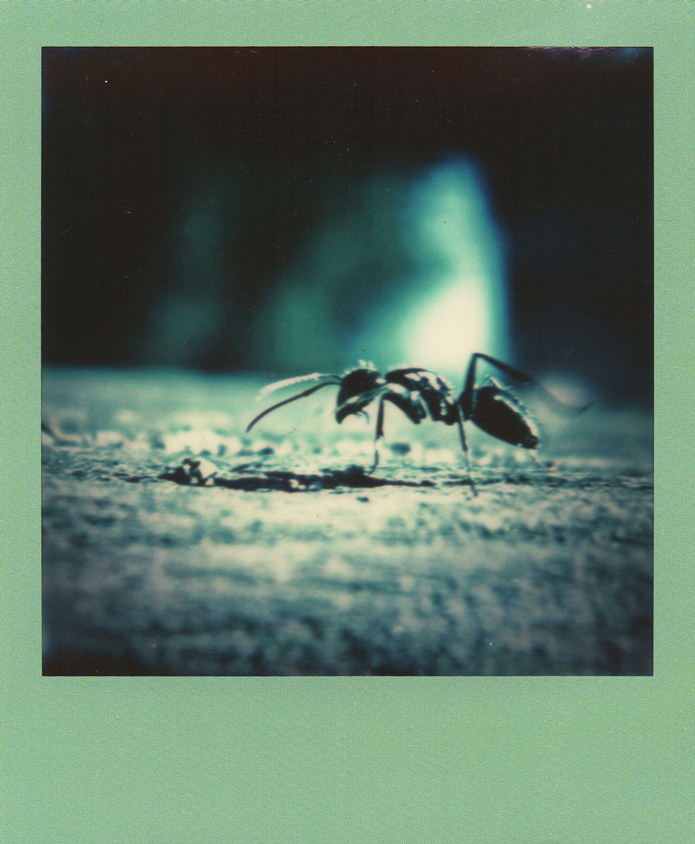 010.-GI-ANT---Polaroid-SLR680